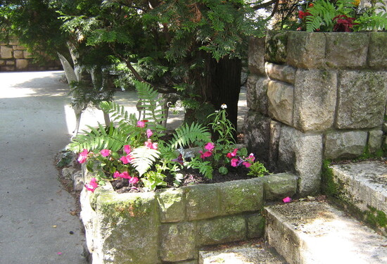 Photos of Csillaghegyi Árpád Bath